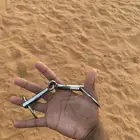 شكيمه خيل