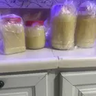 سمن معزا على الشرط غنم بريه
