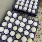 بيض بلدي