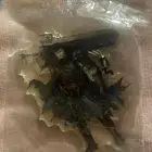 ميدالية قتس