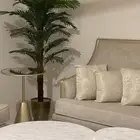 كنب