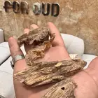 عود طبيعي بورمي غابات قديم دبل