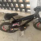 رامبو 20