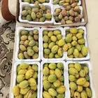 للبيع لوز قطف اليوم