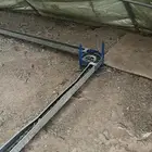 مشروع دواجن