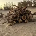 ح ط ب س م ر للبيع