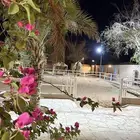 أيواء خيل مربط واسطبل د رة نساح للخيل العربيه