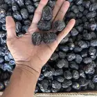 عجوة العوالي (( عالية المدينة ))