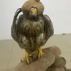 با شاق للبيع