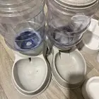 مستلزمات قطط للي يبيهم مجان