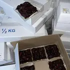 تمر صفري فاخر