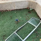 شاص قزاز خلفي