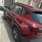 سيلتوس نص فل