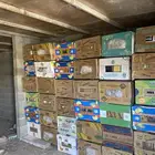 300 كرتون موز