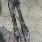 سوبارو عكوس