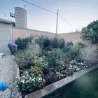 زراعة طبيعي