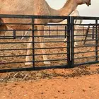 الناقه الشقحاء الكفو