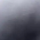 احتاج كلب للتبني   كلب حراسة للمزرعه