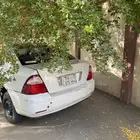 لوحة سيارة مميزة