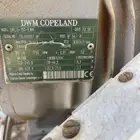 الطايف ام الدوم