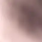 مطلوب قطط للتبني