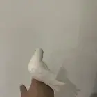 طير روز ألبينو أبيض صافي   ا