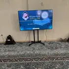 تاجير شاشات بلازما تلفزيون led