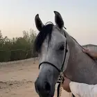 مهرة واهو بنت بديع الناصر