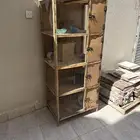 محكر