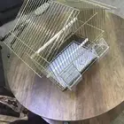 قفص للطيور مع الحضانة