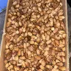 تمر بديرة