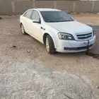 البيع قطع كابرس