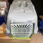 بوكس قطط