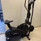 الغزال الطائر