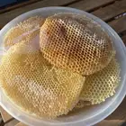 عسل سدر وضهيان جودة عالية