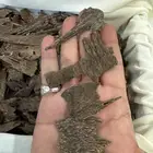 عود كاليمنتان بونتيانك تربل سوبر تخزين قديم طبيعي 100   100