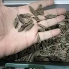 دقة الفتنامي ((مايكرو)) الفاخره