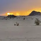 مطلوب عزبة حلال جاهزة للشراء في سيدة نجران