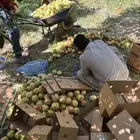 رمان اسعار جمله