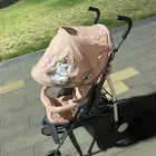 حائل