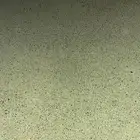 نبتة الازولا بديل الاعلاف للمواشي والطيور