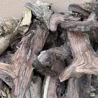 حطب افريقي مستورد