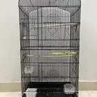 شبك او مطير طيور