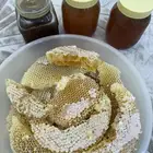 سدره اصلي من 300