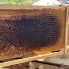 برواز. براويز ممطوطه بلدي ومصري