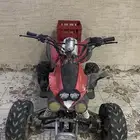 دباب فراشه