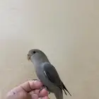 تم البيع خارج الموقع