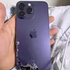 بجور سوبيا الخضري