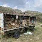 عربيه نحل 6متر