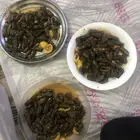 المدينة المنورة